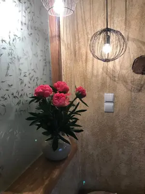 Plan de l'établissement Chambre Les Marguerites
