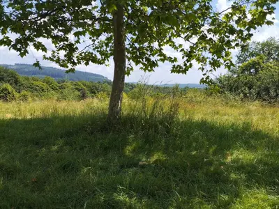 Paysage naturel près de le camping