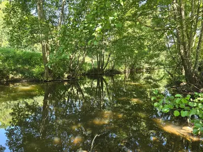 Paysage naturel près de la maison de vacances