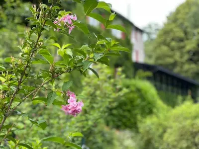 Jardin de l'établissement Les Grillons du Morvan
