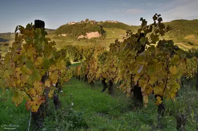Paysage naturel près de la maison de vacances