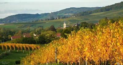 Paysage naturel près de la maison de vacances