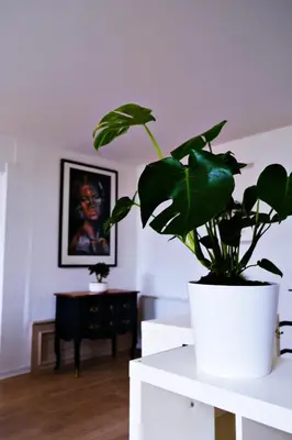 Plan de l'établissement Le Loft Pasteur