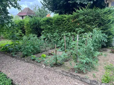 Jardin de l'établissement Maison Chez Marinette
