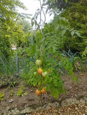 Jardin de l'établissement Maison Chez Marinette