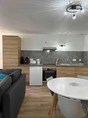 Cuisine ou kitchenette dans l'établissement Le St Martin Appart'