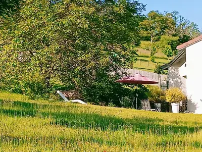 Jardin de l'établissement Maison Cluny
