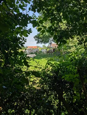 Paysage naturel près de le B&B/chambre d'hôtes