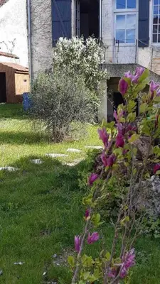 Jardin de l'établissement chambres d'hôtes rue Pasteur