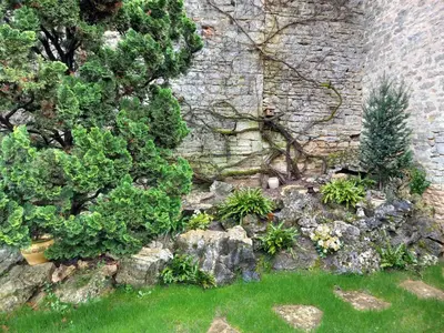 Jardin de l'établissement CHAMBRE D HOTES AU COEUR DE MEURSAULT