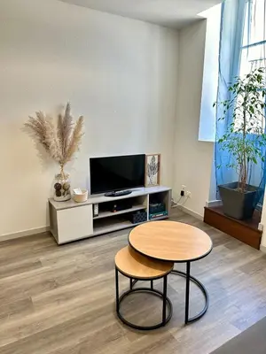 Télévision ou salle de divertissement dans l'établissement Appartement calme au cœur de la ville
