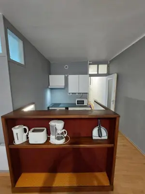 Cuisine ou kitchenette dans l'établissement Appartement Le Suly