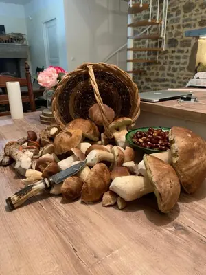 Nourriture dans la maison de vacances ou à proximité