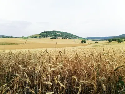 Paysage naturel près de l'appartement