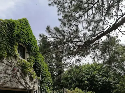 Jardin de l'établissement Gîte 2 chambres Hautes Côtes de Nuits