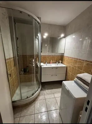 Salle de bains dans l'établissement Bel appartement spacieux et lumineux de 100m2 au 3e étage avec ascenseur -A 5mn à pied du parc des expositions congrès de Dijon et ENG et 10mn du centre ville place Parking devant l'immeuble