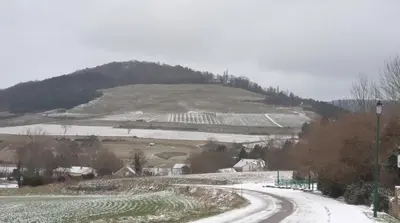 L'établissement L'Oenologîte en hiver