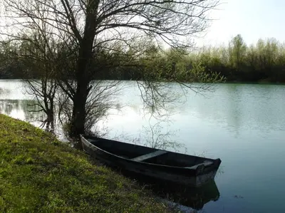 Vue sur la rivière ou le fleuve situé(e) à proximité de le B&B/chambre d'hôtes
