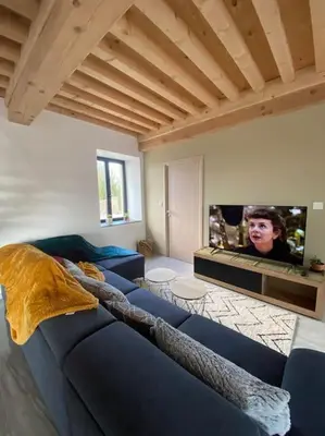 Télévision ou salle de divertissement dans l'établissement La Ferme du Maillot