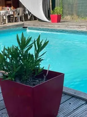 Piscine de l'établissement LES CHALETS DE VANESS' le Mahé ou située à proximité