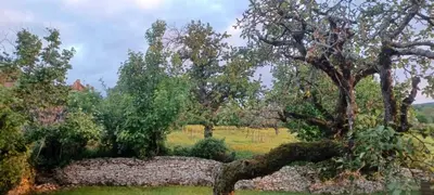 Jardin de l'établissement Le Verger de Massilly