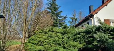Jardin de l'établissement Location chambre dans villa