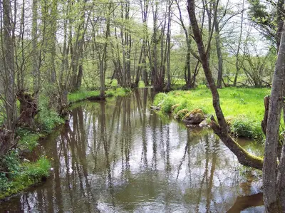 Paysage naturel près de l'auberge