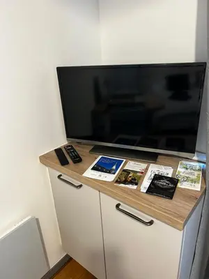 Télévision ou salle de divertissement dans l'établissement Le Carnot - Hospices - Centre - Climatisation