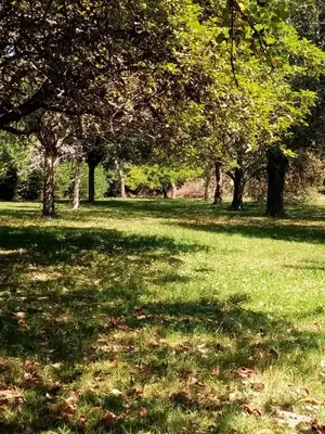 Jardin de l'établissement Gîte La Sarrée