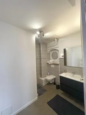 Salle de bains dans l'établissement Center Macon charmant appartement avec vue sur la Saone
