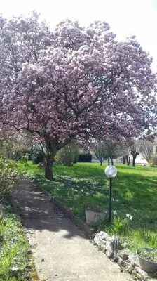 Jardin de l'établissement La Casa Del Papa - Maison spacieuse avec jardin