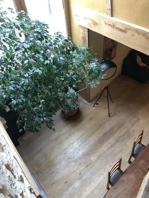 Plan de l'établissement Maison Millot