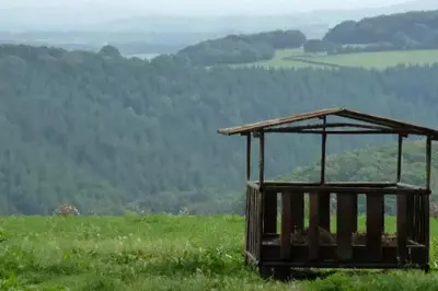 Paysage naturel près de l'appartement