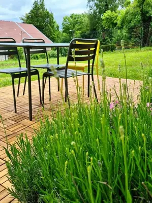 Jardin de l'établissement Gite du bibicherat