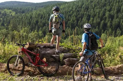 Clients de l'établissement Chalet Au bois du Haut Folin