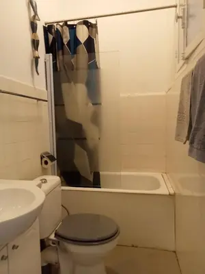 Salle de bains dans l'établissement Logement spacieux et lumineux