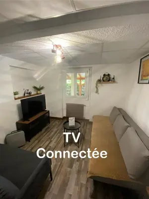 Télévision ou salle de divertissement dans l'établissement Les Pichies, T2 Marie-Line, Digoin.