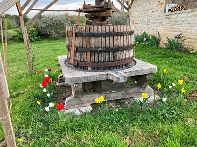 Jardin de l'établissement Auberg'Inn