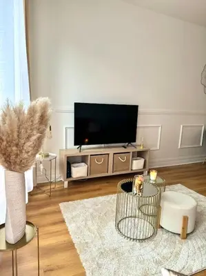 Télévision ou salle de divertissement dans l'établissement Appartement avec magnifique vue sur la Saône et son balcon