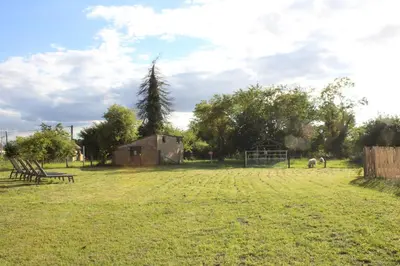 Jardin de l'établissement Les Blés Dorés maison 3 chambres et Les Graines de Lin maison 3 chambres, 2 gites indépendants avec moutons et piscine, à côté de Beaune