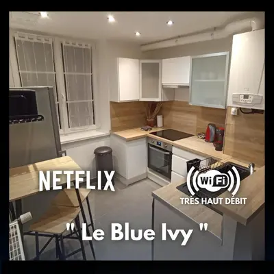 Cuisine ou kitchenette dans l'établissement Le Blue IVY Hyper centre 2 chambres Tout équipe