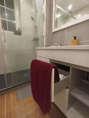 Salle de bains dans l'établissement Le Blue IVY Hyper centre 2 chambres Tout équipe