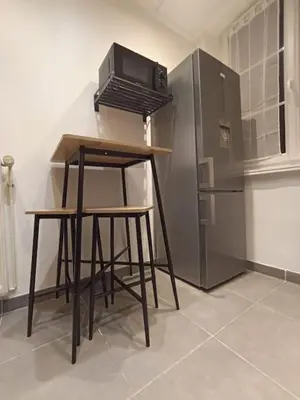Cuisine ou kitchenette dans l'établissement Le Blue IVY Hyper centre 2 chambres Tout équipe