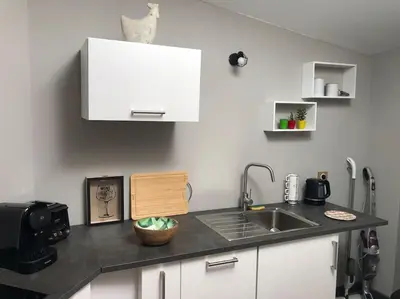 Cuisine ou kitchenette dans l'établissement Nuits centre : superbe gîte rénové et climatisé