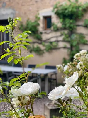 Jardin de l'établissement Sint Lucas - Razou - lacs du Morvan