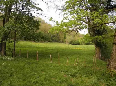 Paysage naturel près de la maison de vacances