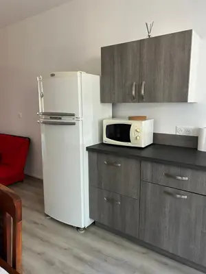 Cuisine ou kitchenette dans l'établissement Charmant appartement en rez-de chaussée