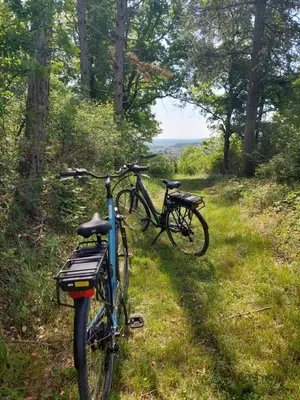 Vélo sur le terrain de l'établissement Le Petit Sondebois ou dans les environs