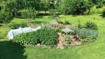 Jardin de l'établissement Domaine de la cure