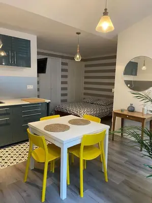 Cuisine ou kitchenette dans l'établissement Dole : studio en plein centre, copropriété calme